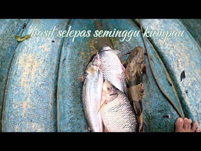 Jual hasil seminggu 