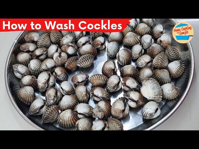How to Wash Cockles | See Hum