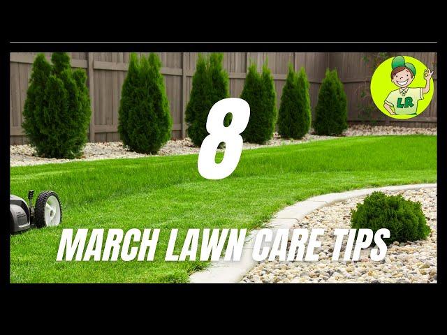 8 March lawn care tips