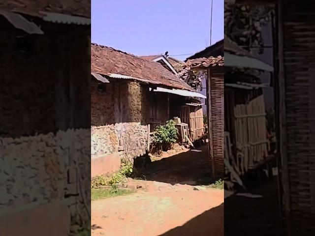 KAMPUNG PEDALAMAN WONOSOBO#shortvideo