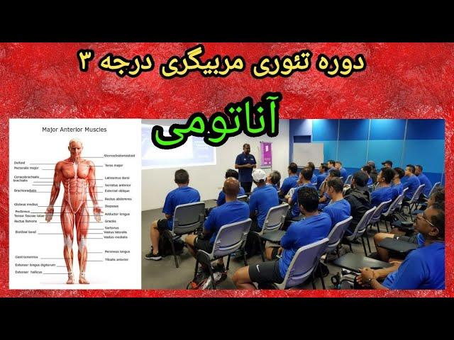 دوره تئوری مربیگری درجه سه، درس آناتومی