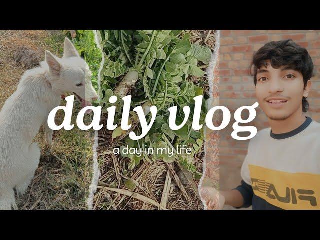 Aj ye dkhe kn aya  || Pakistani vlog || Ahsan village life