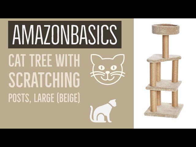 AmazonBasics Cat Activity Tree with Scratching Posts, Large (Beige)