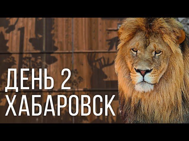 ХАБАРОВСК. День 2: Приамурский зоосад, парк Северный.