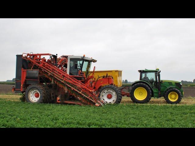 Dewulf ZKIIs + John Deere 6150R & 6125R - wortels rooien