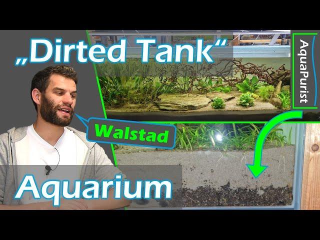  Wir haben es doch gewagt  Dirted Tank Walstad #Aquarium einrichten - Beckenvorstellung