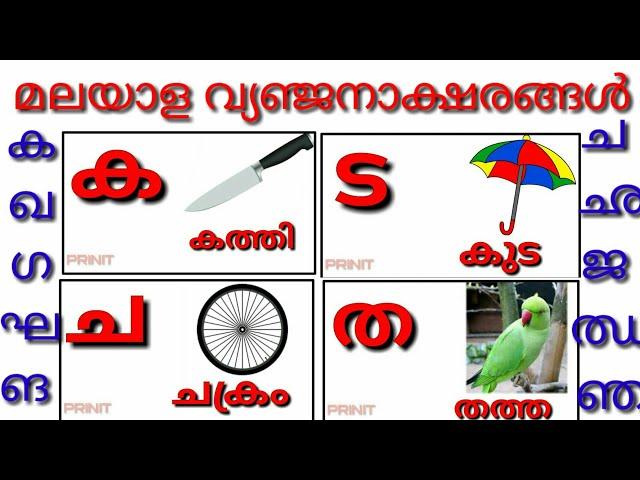 Learn Malayalam Consonants(വ്യഞ്ജനം, vyañjanam) | Malayalam Alphabet | Malayalam Aksharamala/ka,ga/