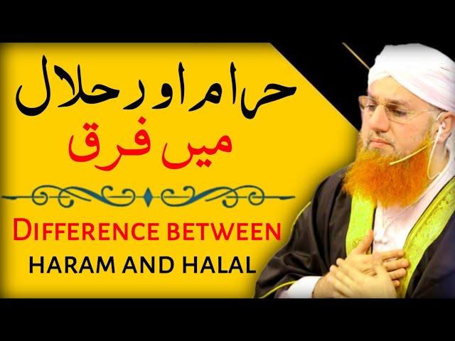 Haram Or Halal Me Frak | Difference Between Haram And Halal | Abdul Habib Attari | MashaAllah Studio