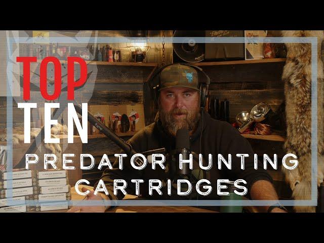 Top Ten Predator Hunting Cartridges | TPH30