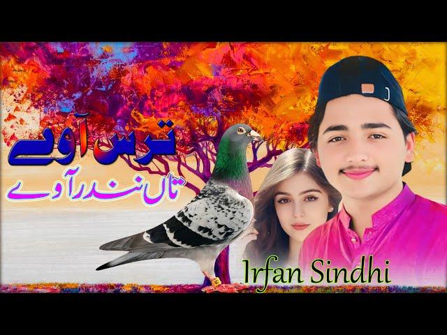 TiK ToK Viral Song || Tara's Awe Nendir Awe || Irfan Khan Sindhi || Waseeb Production