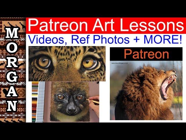 Wildlife Art Lessons : Learn to Draw and Paint animals : Jason Morgan