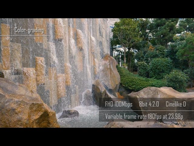 Panasonic GH5 ｜ Variable Frame Rate - 96fps, 120fps, 180fps quality comparison