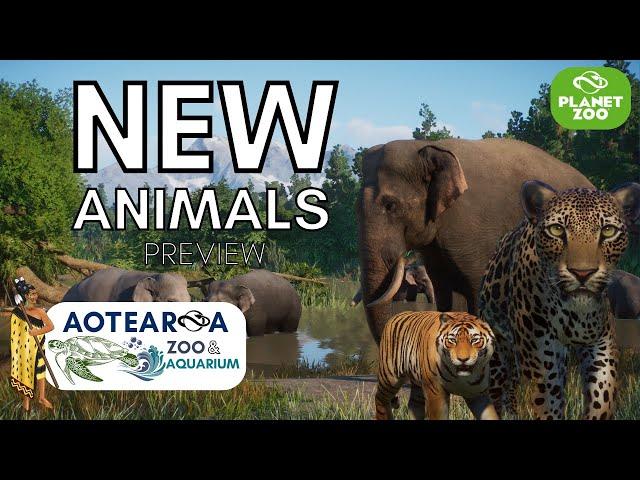 Planet zoo | Aotearoa Zoo & Aquarium | New Animals Preview