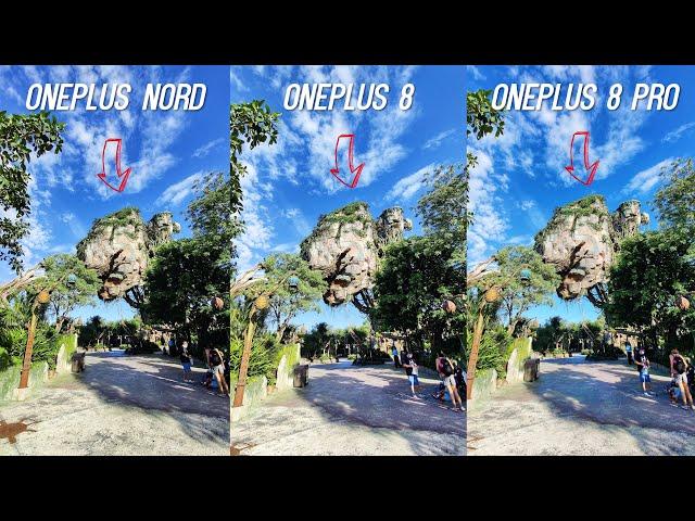 OnePlus Nord vs OnePlus 8 vs OnePlus 8 Pro Camera Test: Skip the Flagships?