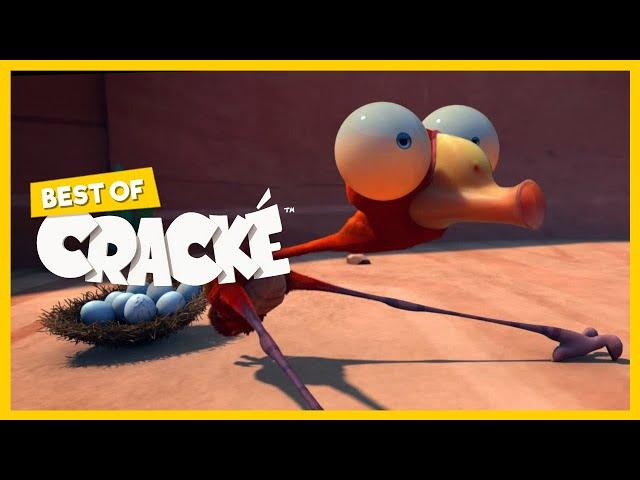 CRACKÉ - BENDY BIRD | Cartoon Animation | Compilation