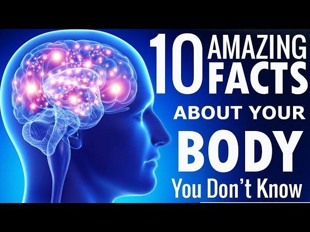 10 Amazing Facts About Human Body You Don't Know About - Astounding Facts