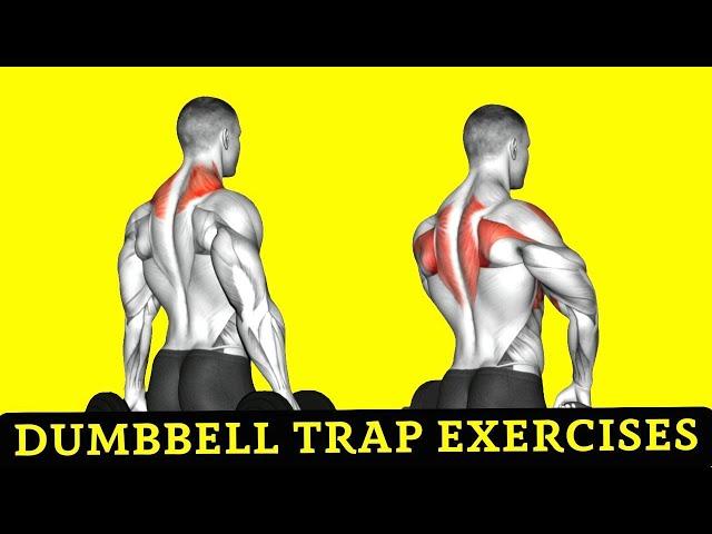 10 Best Dumbbell Trap Exercises