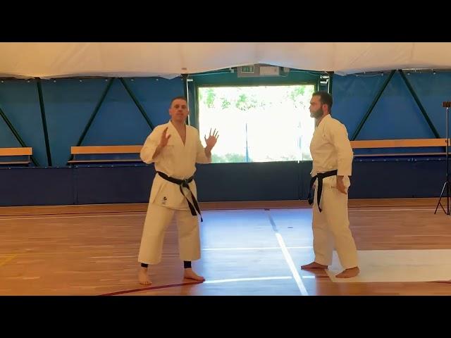 Bunkai Taikyoku Shodan #karatedo #shotokan #shotokai #bunkai