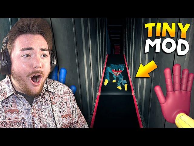 TOY SIZED HUGGY WUGGY!!! (Insane Mod) | Poppy Playtime Gameplay (Mods)