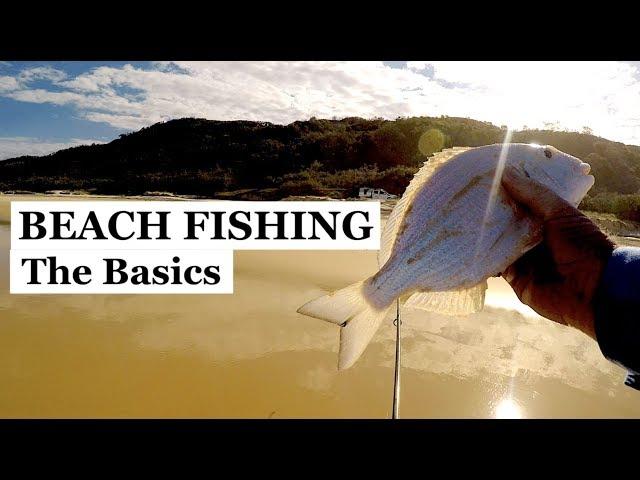 BEACH FISHING BASICS, fishing