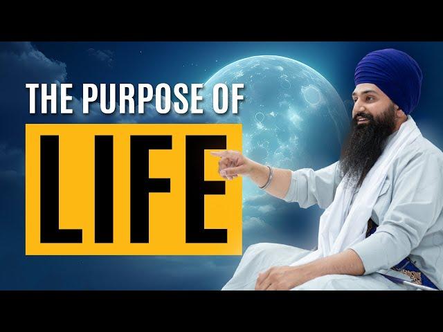 What is the purpose of life? - A Deep Dive + Q&A with Bhai Harman Singh