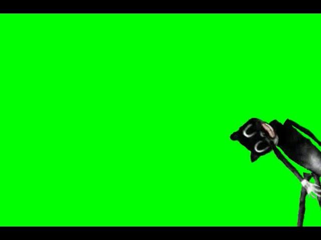 Cartoon cat green screen (high pitch turn down your volume)