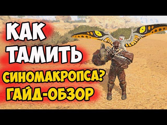 Как ПРИРУЧИТЬ СИНОМАКРОПСа в ARK? Гайд ОБЗОР на Sinomacrops! Новая ИМБА в Lost Island?