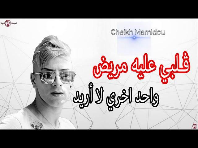 cheikh mamido 2017 galbi 3lih mrid  by tarek santi