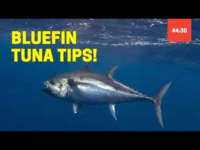 How to Catch a Bluefin Tuna | Taught by Extreme FishingNZ (Gear, Lures, Setup, Tips) Waihau