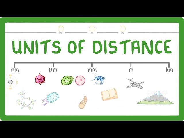 GCSE Biology - How to convert between nm, um, mm, m and km #4