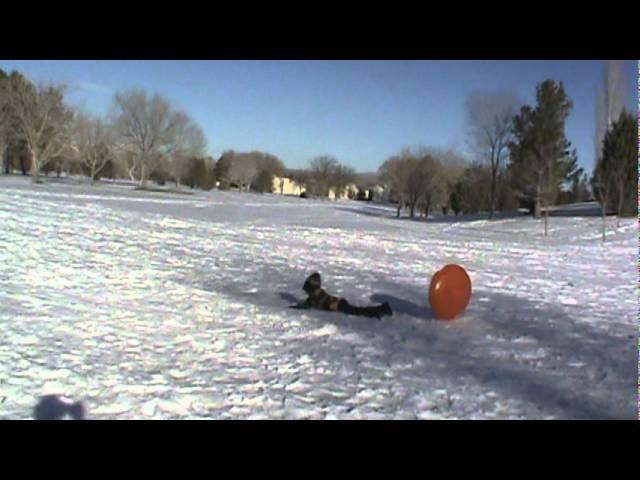 Snow Jumps