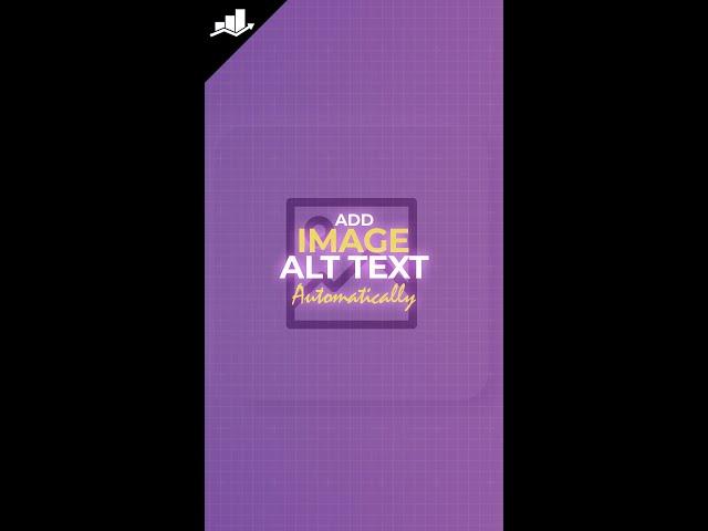 Use Image File Name as Your Image Alt Text Automatically