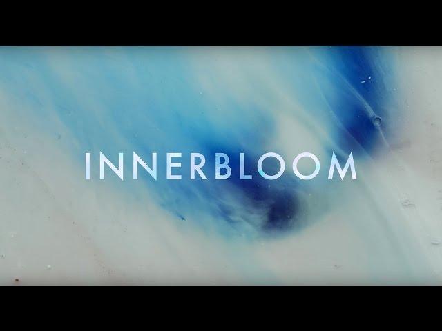 RÜFÜS DU SOL ●● Innerbloom (Official Video)