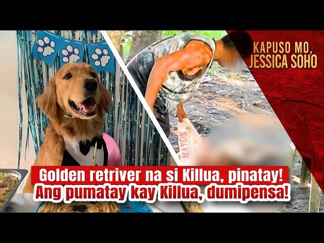 A man killed a pet dog in Camarines Sur! | Kapuso Mo, Jessica Soho