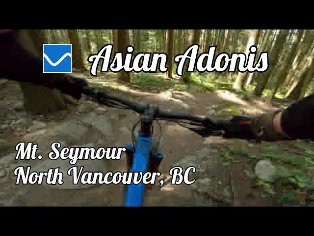 Asian Adonis at Mt.  Seymour in North Vancouver, BC