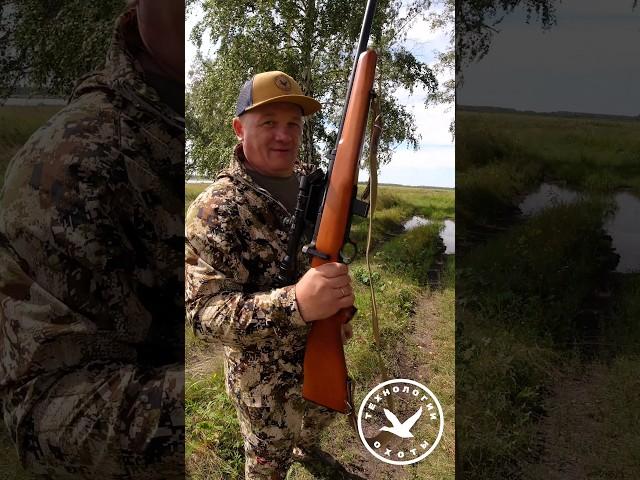 Винтовка Baikal 141 Соболь 22LR Rifle #охота #hunting #охотник #hunt #gun #shotgun #оружие #винтовка