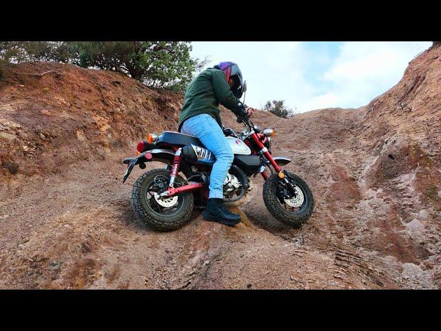 Honda Monkey EXTREME Off Road Test