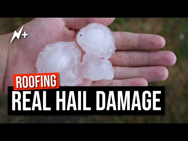 Real Hail Damage To Composition Shingles