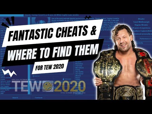 TEW 2020 CHEAT CODES EXPOSED!