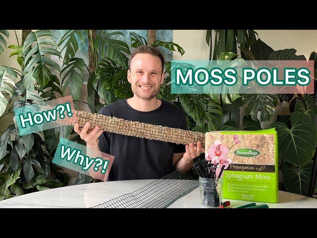 Moss Poles - Why? How? #tutorial