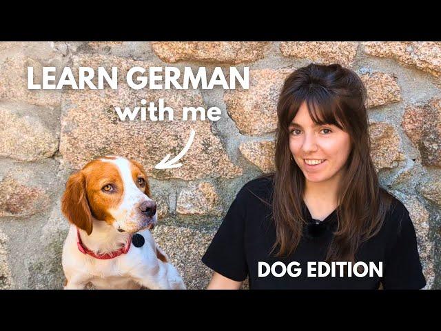 Easy German Practice for Learners: Improve Your Language Skills with Immersive Experience