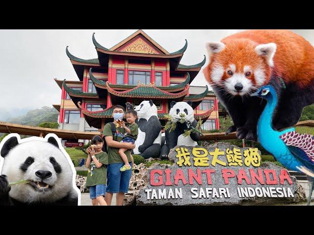 Taman Safari Bogor | Taman Safari Indonesia | Istana Panda