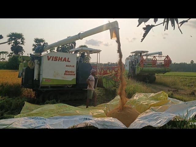 VISHAL MARLIN #GARUDA Track combine Harvester  Ultimate Field Performance & high speed Harvesting