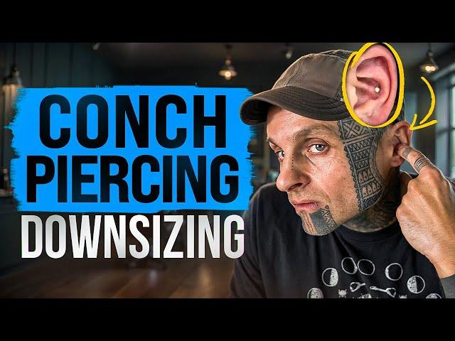 Conch Piercing Jewelry Downsize | UrbanBodyJewlery.com