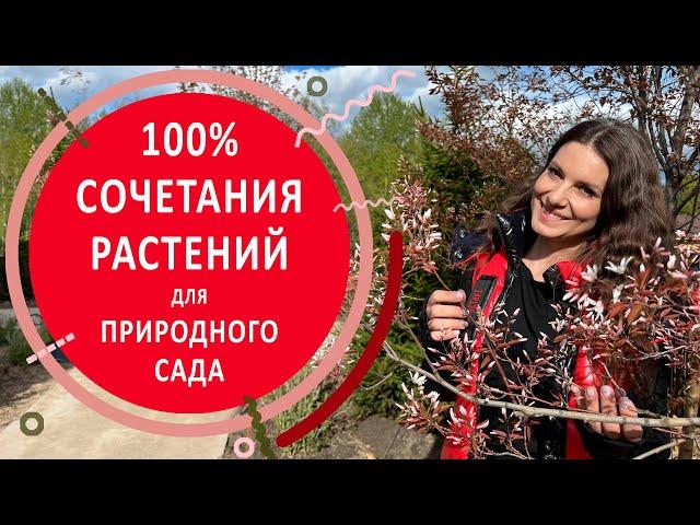 100% сочетания растений для сада в природном стиле