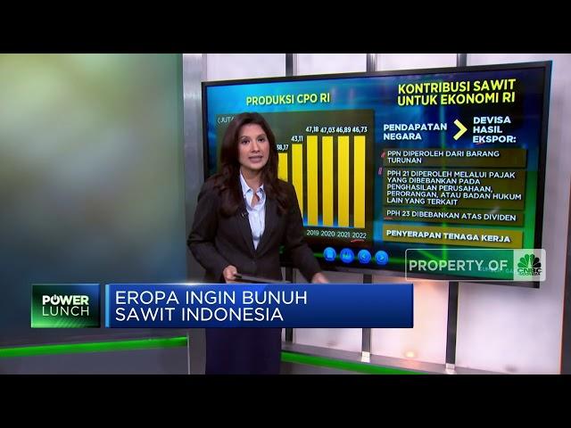 Eropa Ingin Bunuh Sawit Indonesia