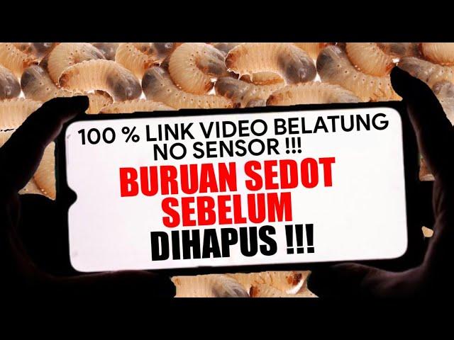 No Sensor‼️ Link V4g1n4 Belatung Viral TikTok, Buruan Sedot