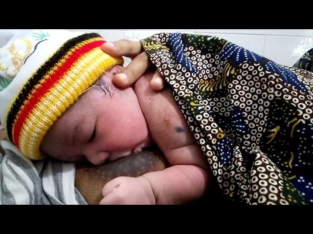 Lucunya bayi pertama kali menyusu