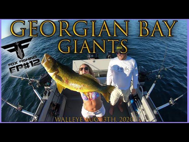 GIANT GEORGIAN BAY WALLEYE from 100 feet deep! Fox Fishing 4K August 2020, ULTRA HD. **MUST WATCH**