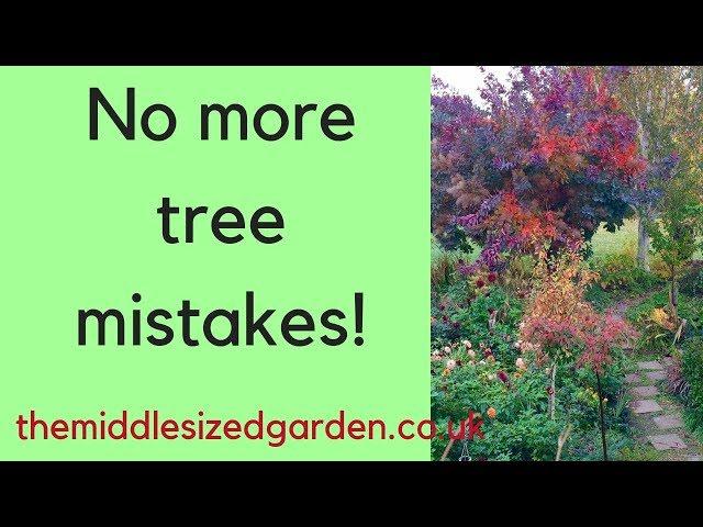 How to choose your perfect garden tree